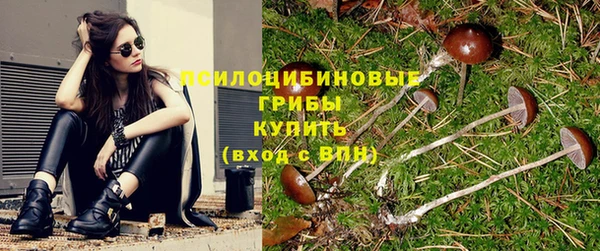СК Алзамай